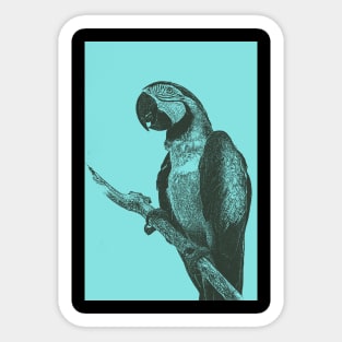 Macaw Bitmap Effect Sticker